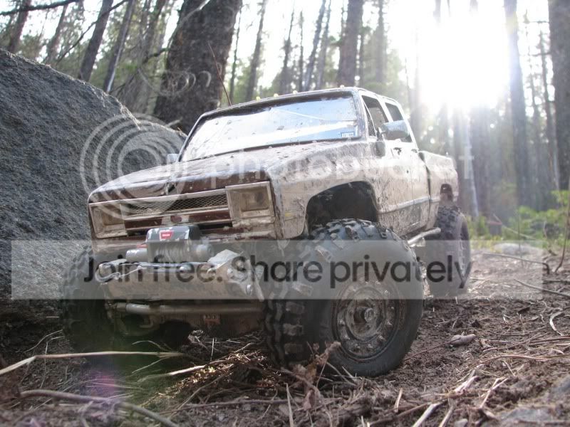 26forestsunnc6.jpg