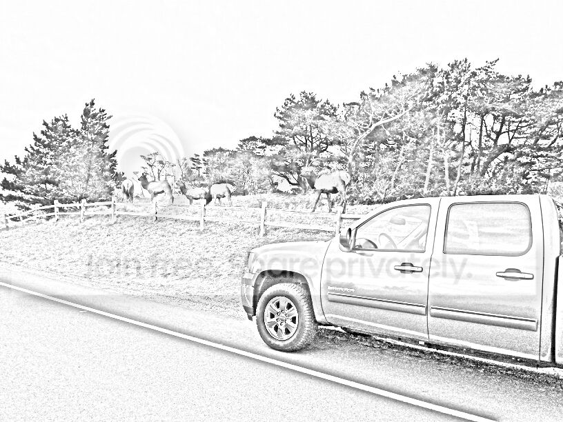 pencil_sketch_1361924554766_zps1a059a49.jpg