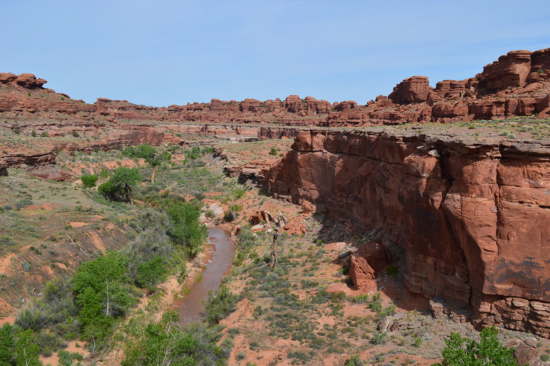 17987747392_2c40b67910_c.jpg