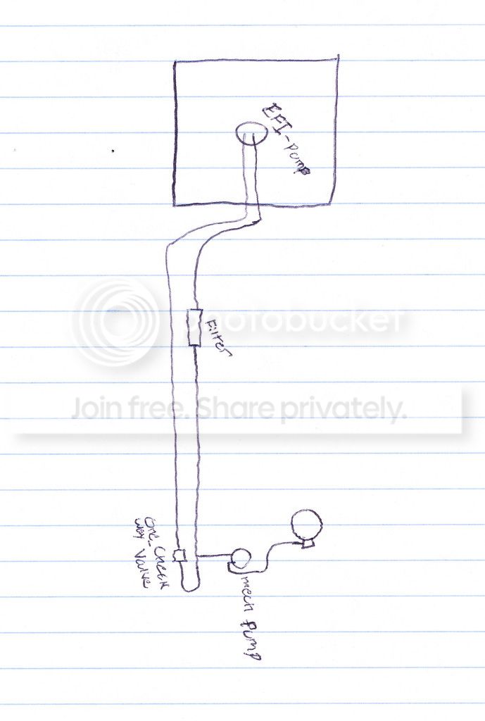 IMG.jpg