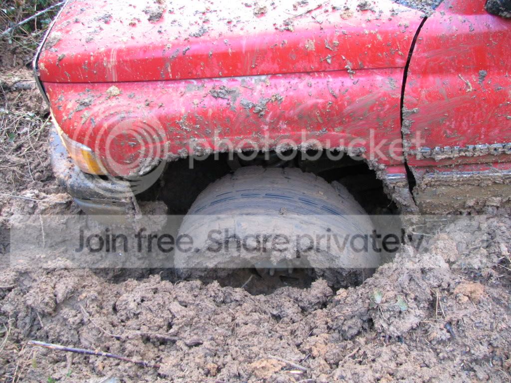 IMG_0194.jpg