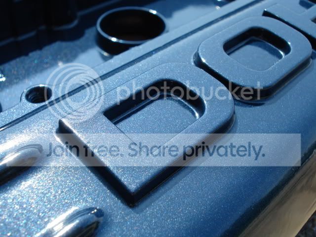 DSC00494.jpg