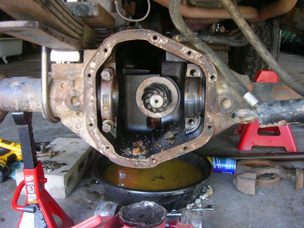 DSCN9681.jpg