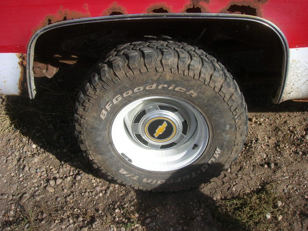 DSCN9772.jpg