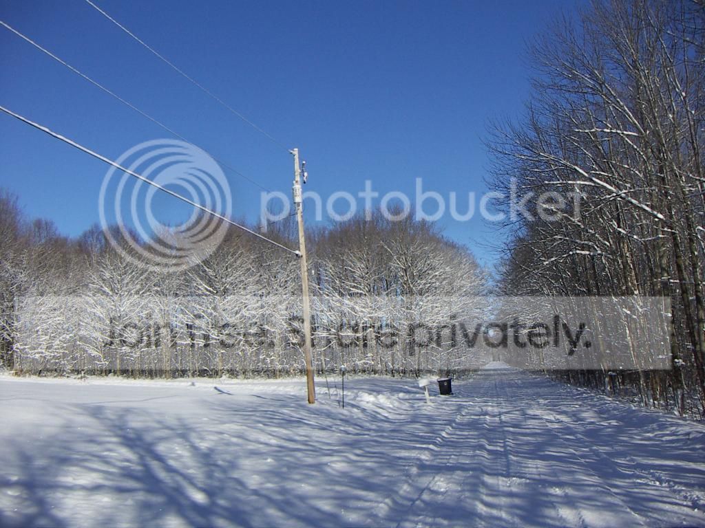 PICT0938.jpg