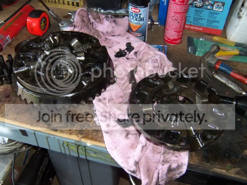 100_6485.jpg