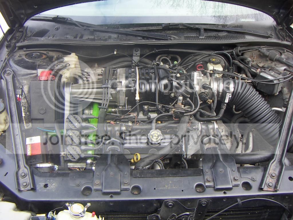 PICT0641.jpg