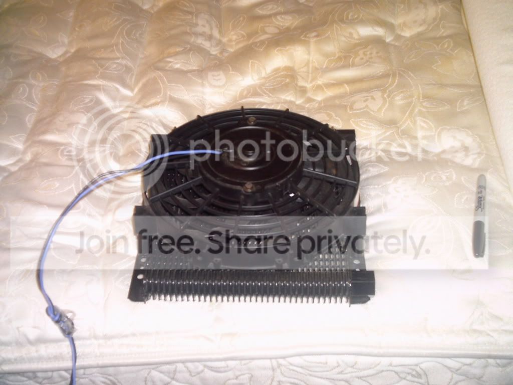 Picture166-1.jpg