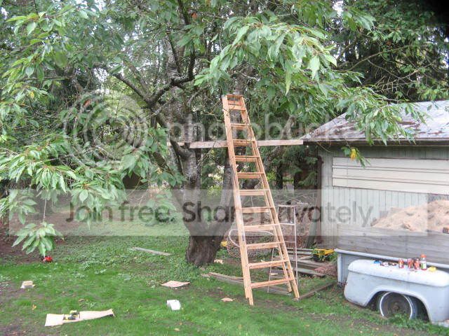 TreehouseAug162008006.jpg