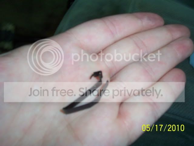 100_0683.jpg