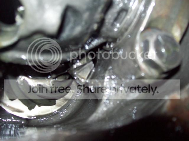 013-5.jpg