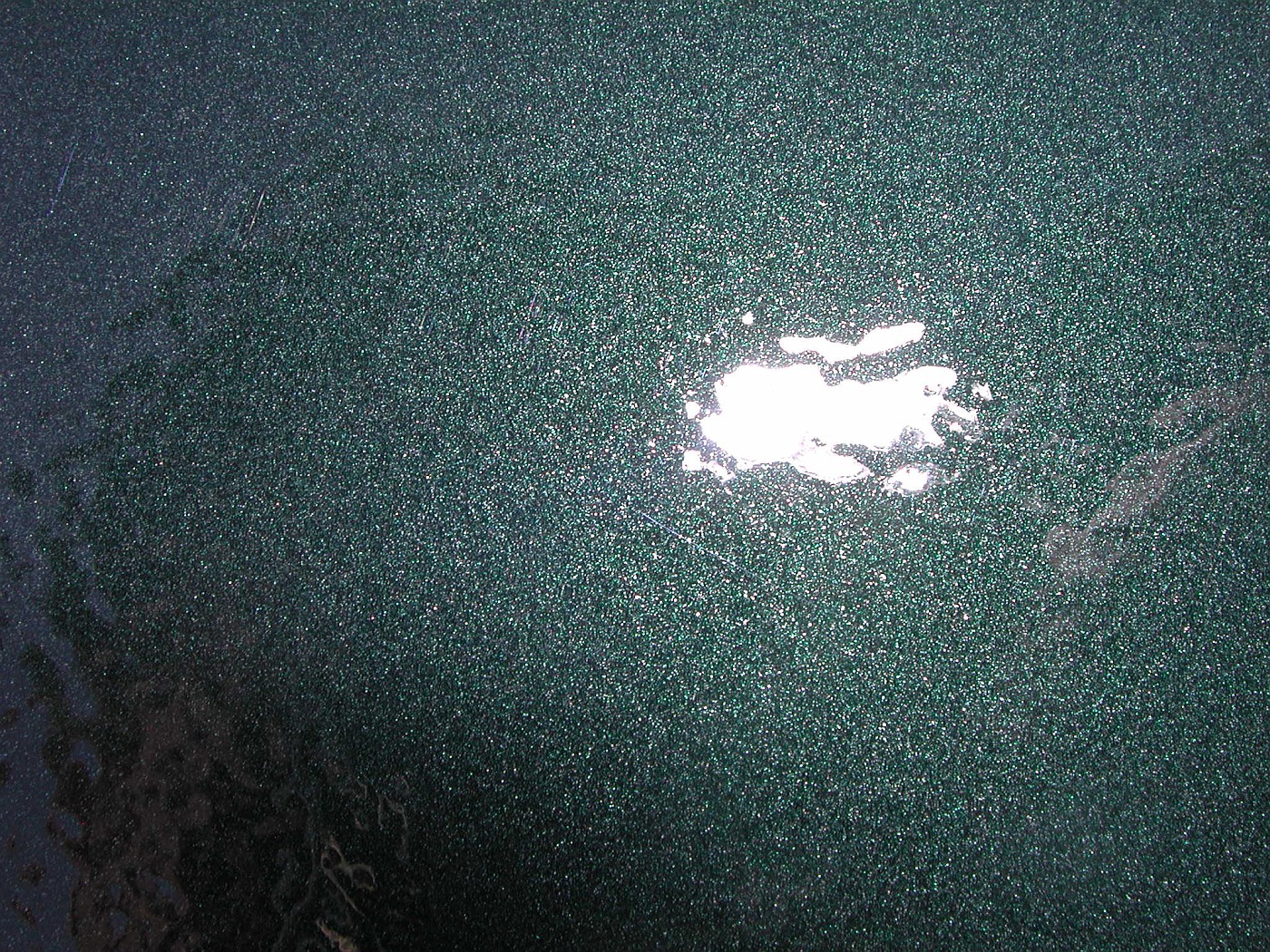 DSCN7503-vi.jpg