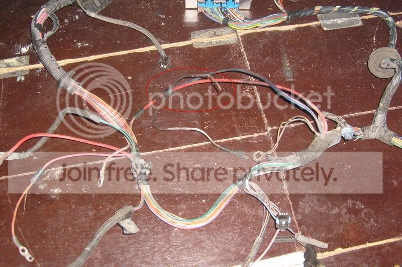 wire.jpg