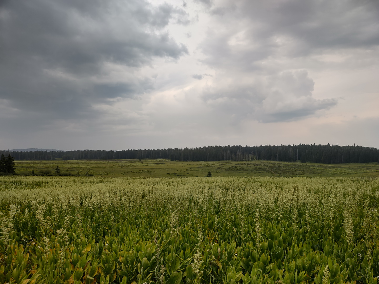 IMG_20210713_160433201_HDR.jpg