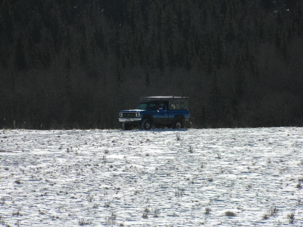 6609820117_53d7152bd1_b.jpg