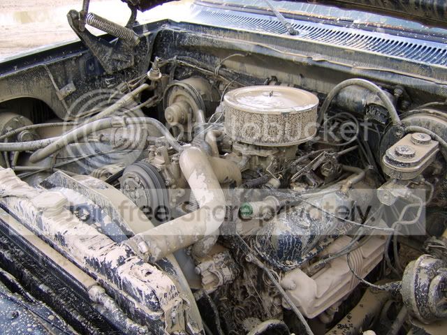 STA70068.jpg