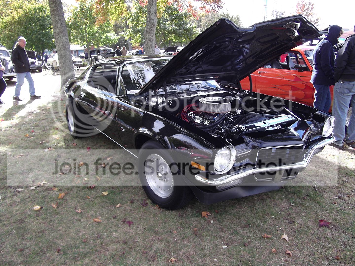 005_zpswy7on7r8.jpg