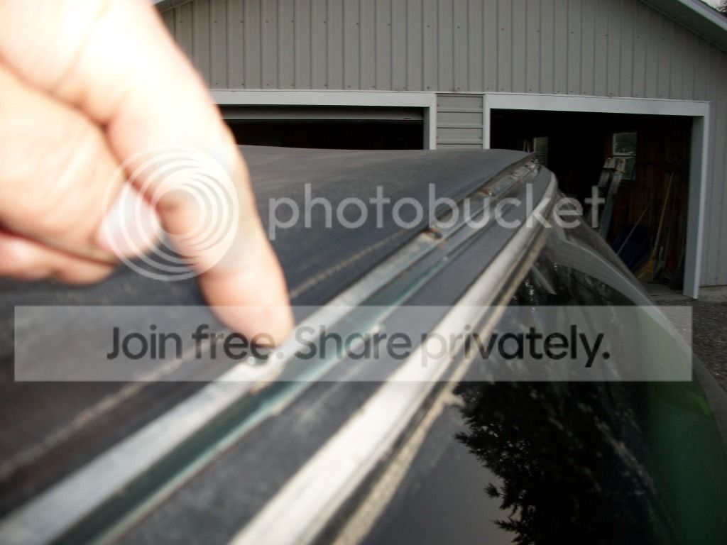 softtop005.jpg