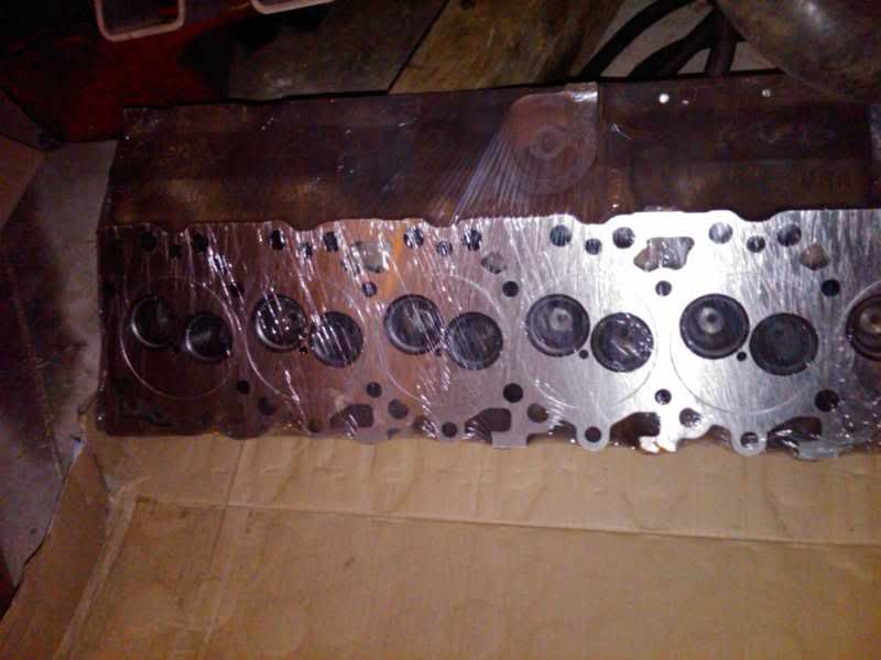 IMG00657-20110220-1836.jpg