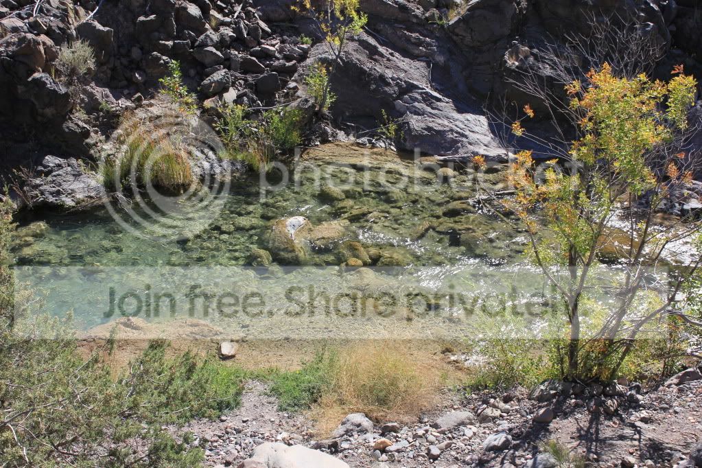 IMG_1064.jpg