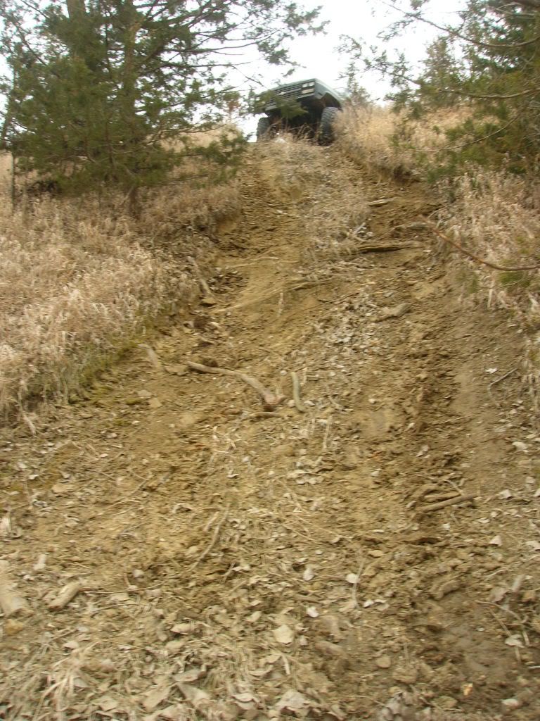 Picture003-1.jpg