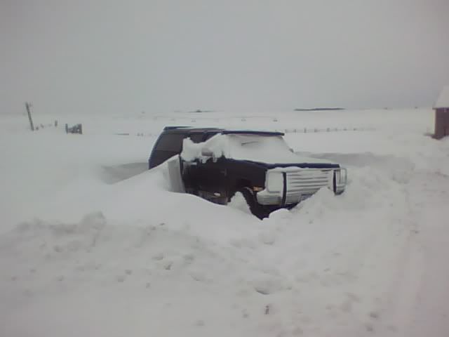 01-02-10_1221.jpg
