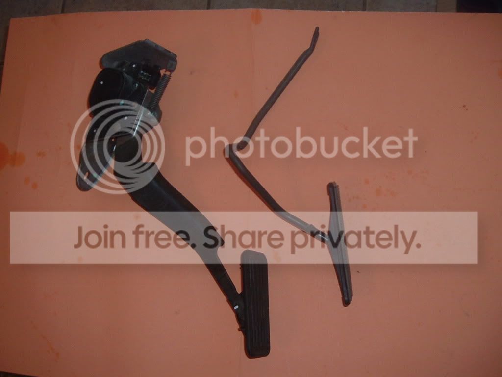 DSCF3559.jpg