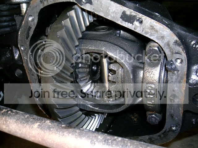 Picture175.jpg