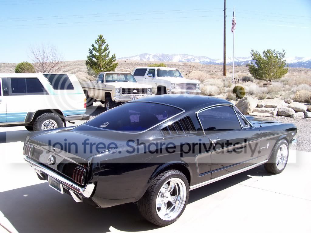 carpics107363.jpg