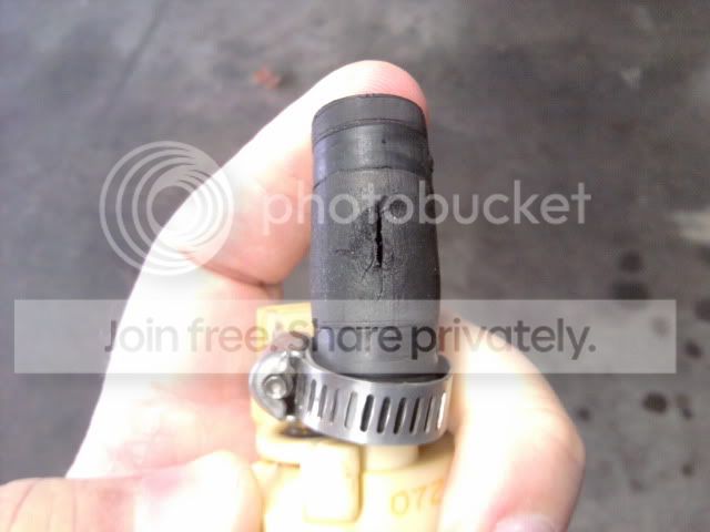 2010-11-21131420.jpg