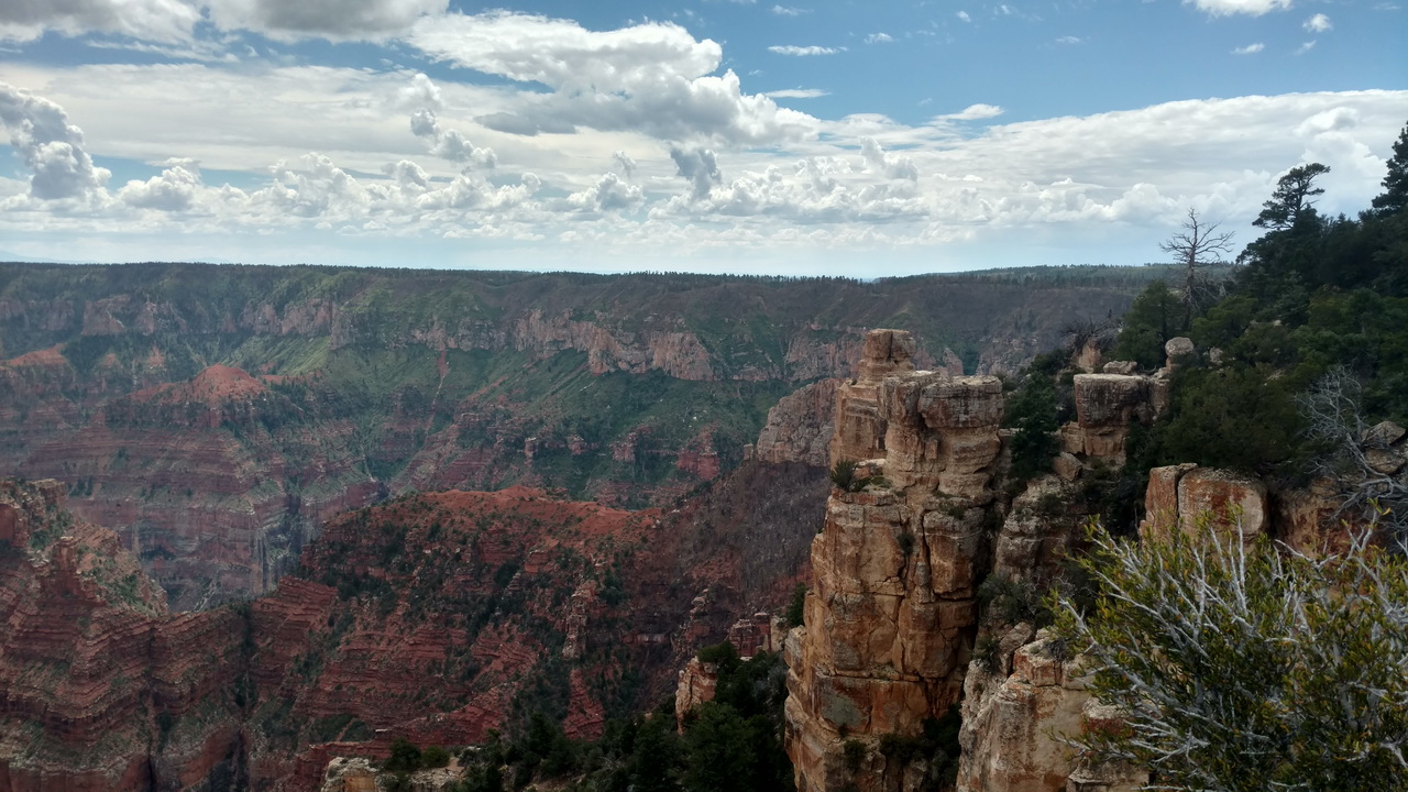 IMG_20160901_124542451_HDR.jpg
