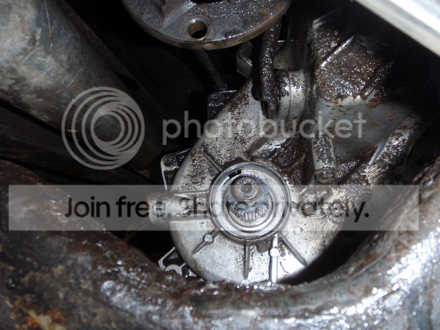 P5010532_zpshuiu49fg.jpg