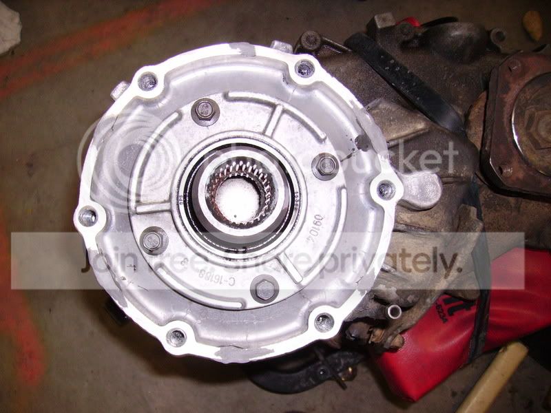 PICT0978.jpg