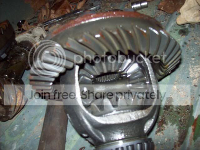 024-8.jpg