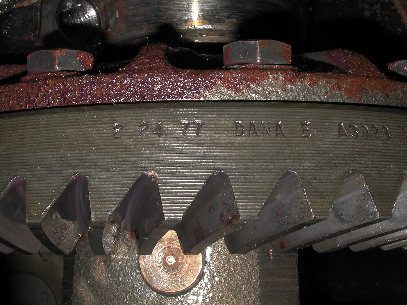 DSCN0643-vi.jpg