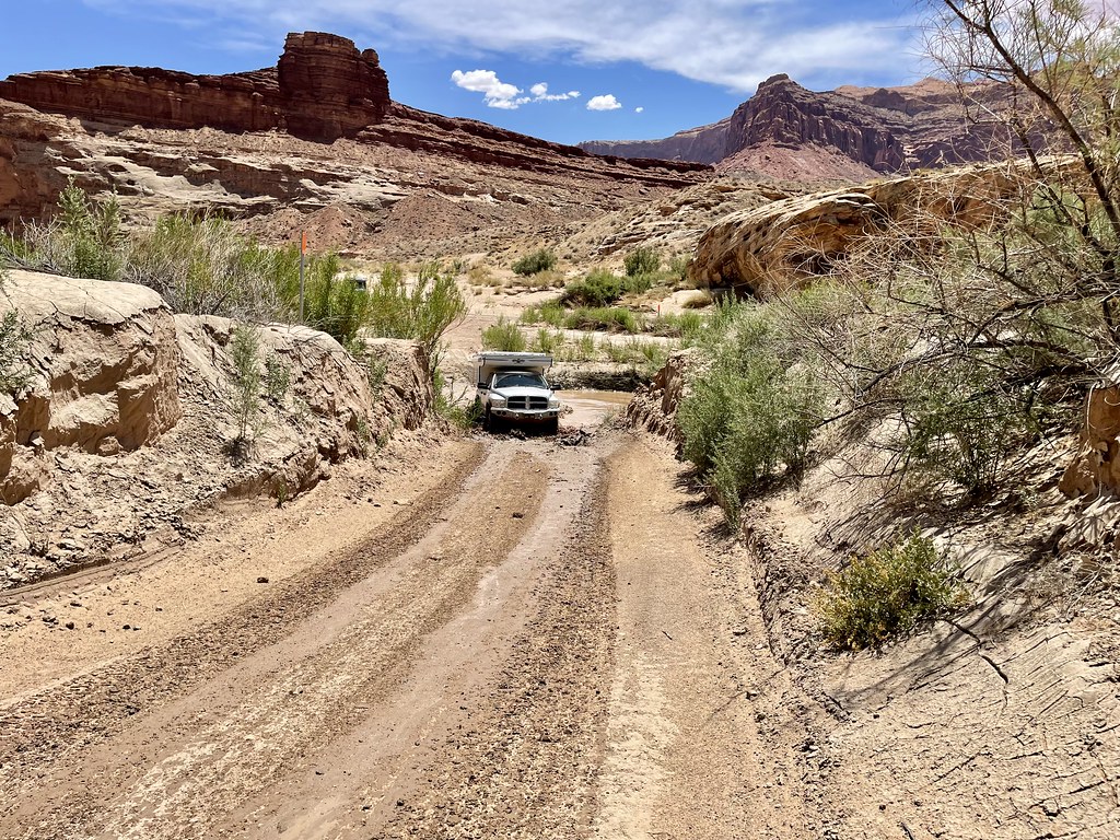 52191070889_d135eb76d0_b.jpg