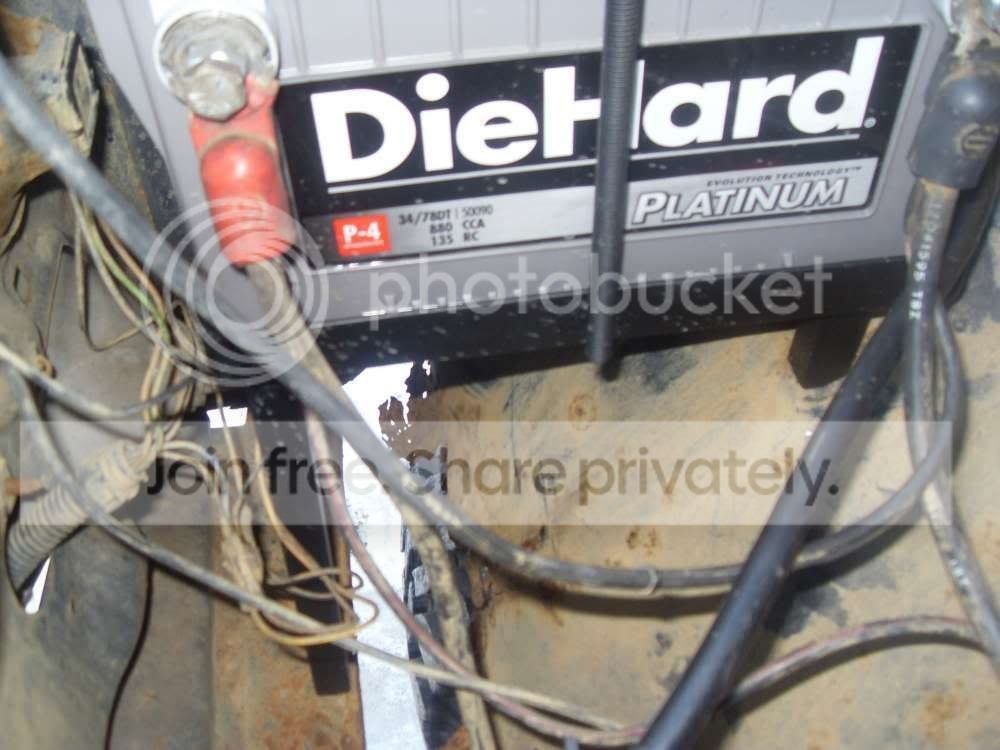 SDC12818.jpg
