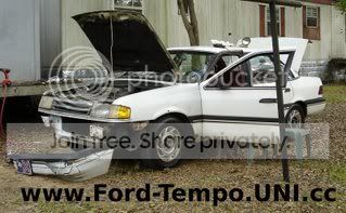 Ford-Tempo.jpg