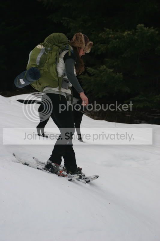 IMG_8542.jpg