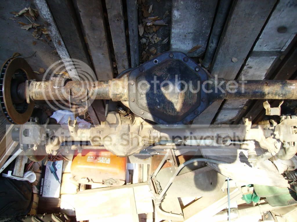 PICT0672.jpg
