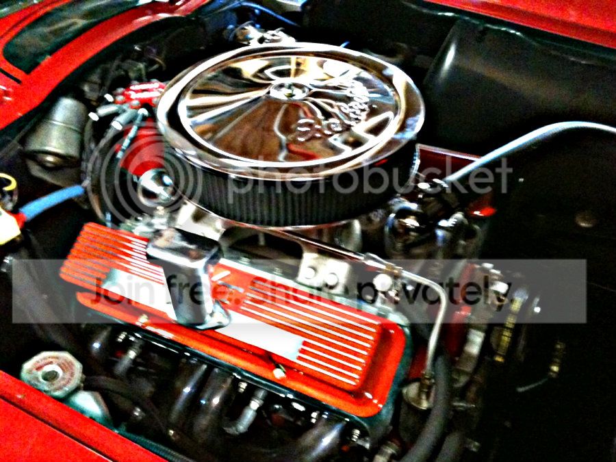 vette3.jpg