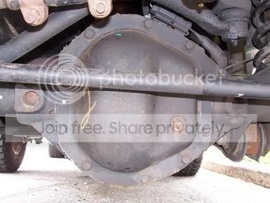 RubiD44front.jpg
