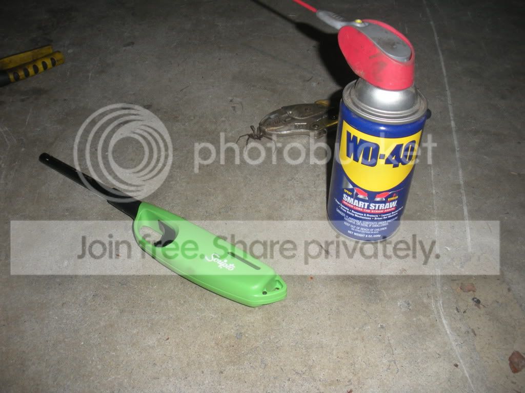 DSCN4908.jpg