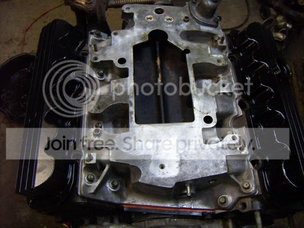 PICT0599.jpg