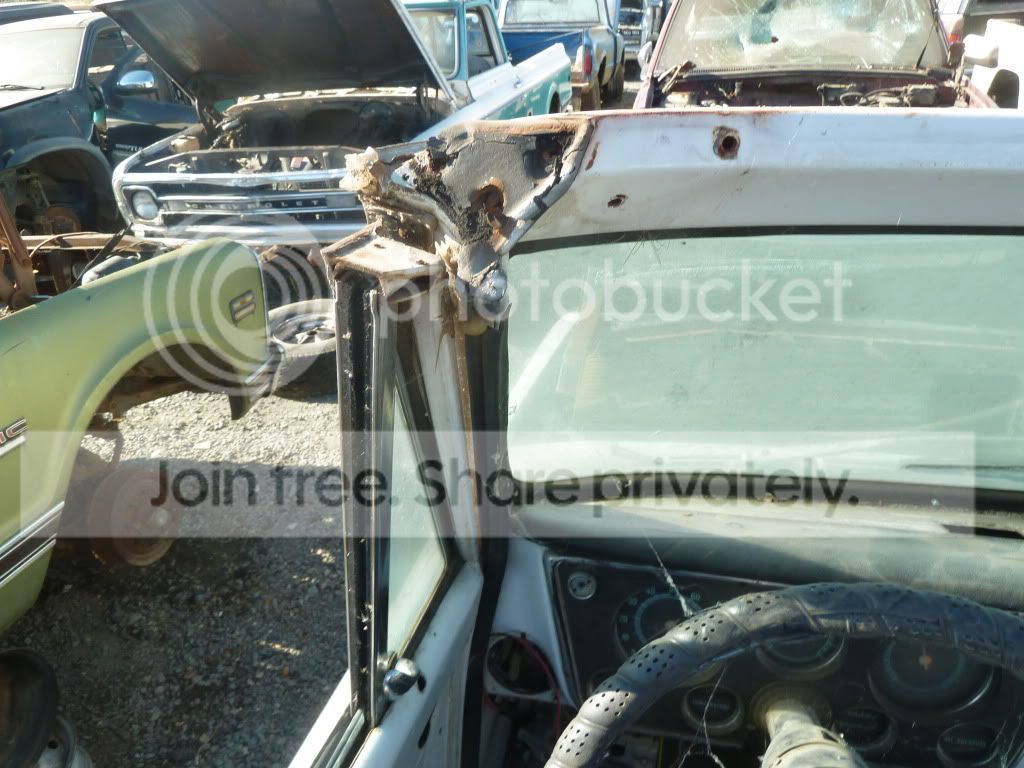 AAA513086.jpg