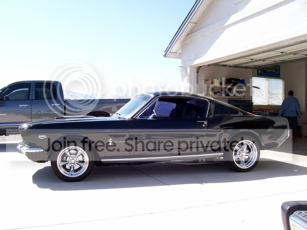 carpics107359.jpg