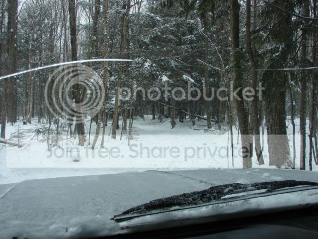DSC01929_zps3d0d9edf.jpg