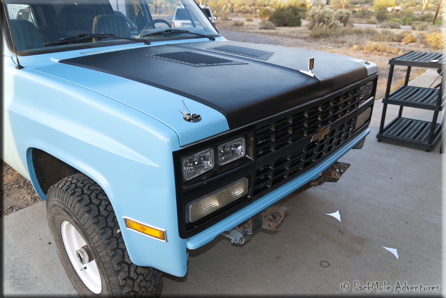 mulebody-0016.jpg