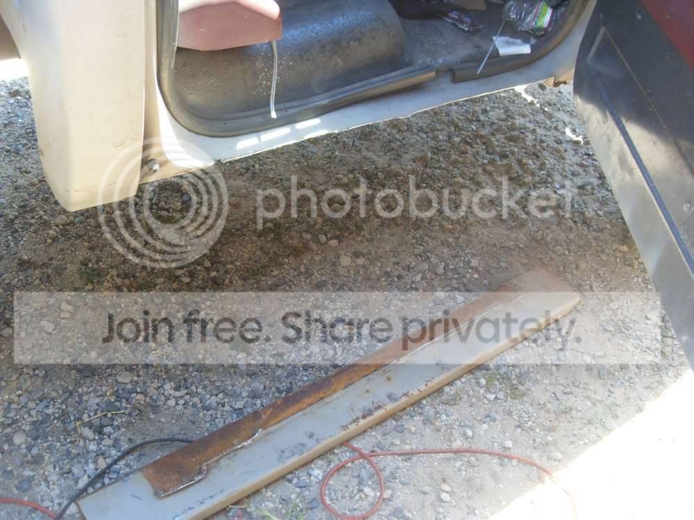 SDC13130.jpg