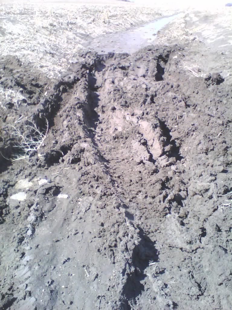 IMG0029A.jpg
